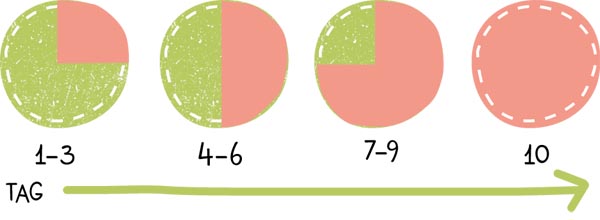 Futterumstellung Grafik